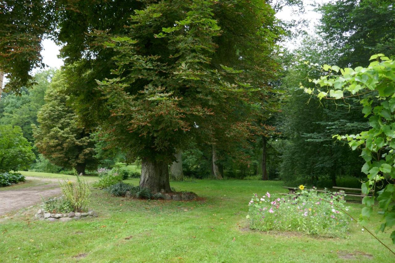 Landhaus Schloss Koelzow Exteriör bild
