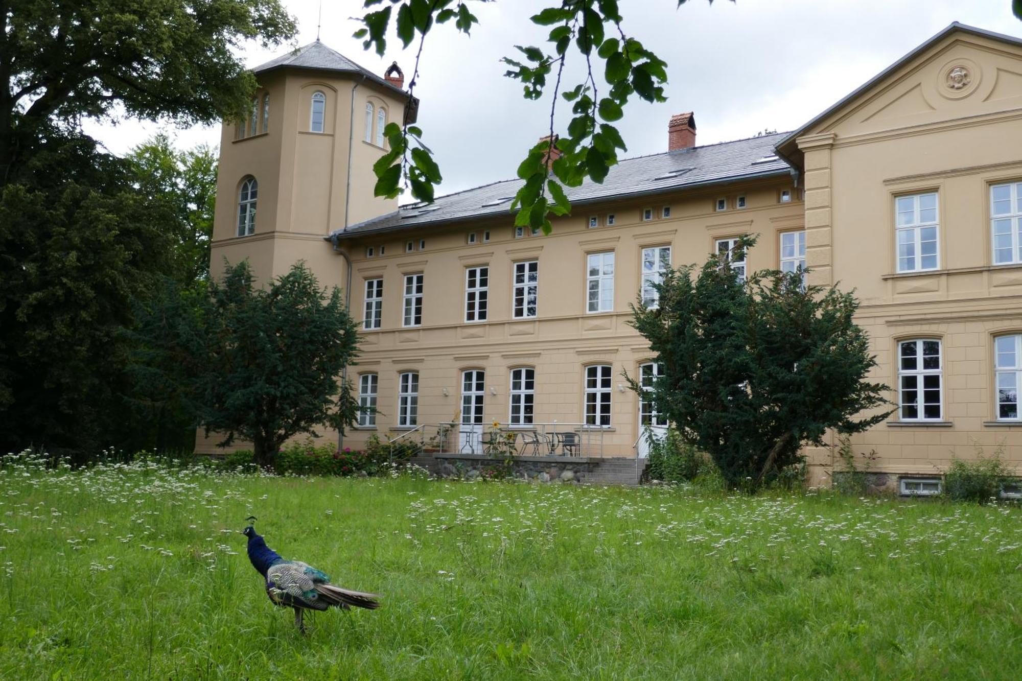 Landhaus Schloss Koelzow Exteriör bild